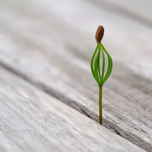 f3030 frank thomsen spire