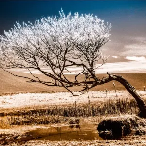 f8001 j joergen hansen avernakeoe trae