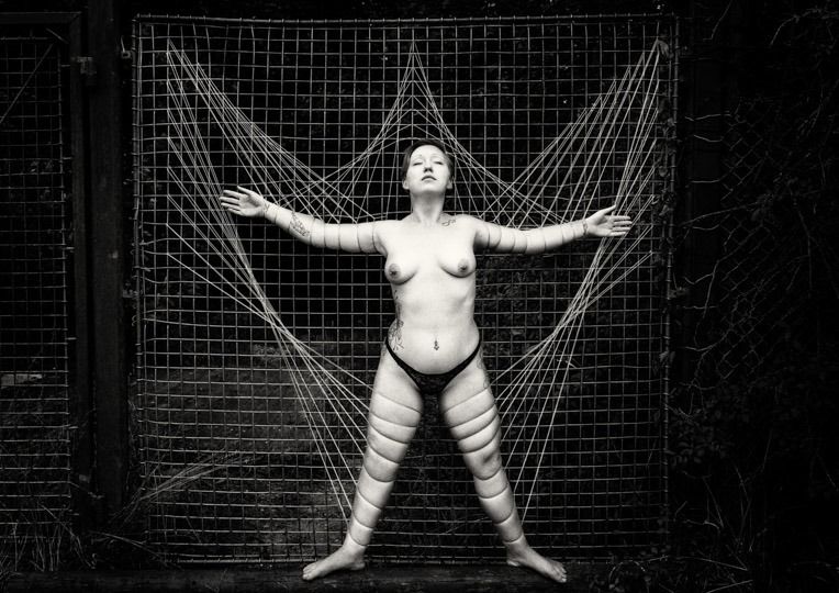 m5013 stefan mehl ludvigsen the fence
