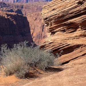 s6006a knud l pedersen horseshoe bend