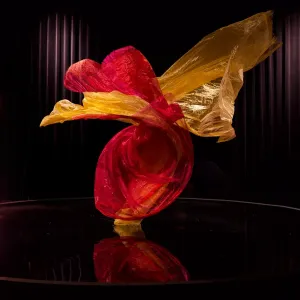 s6007a lars tegen dans