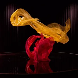 s6007c lars tegen dans