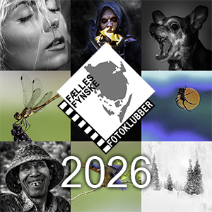 2026