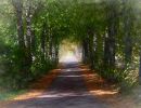 f6033 rene jensen road to peace