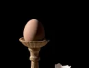 f5009 aage jorgensen egg